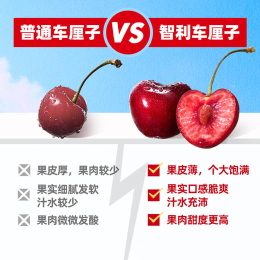 椰子知道100%复合车厘子果汁250ml*10 商品图5