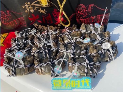 15只全母一蟹一码大闸蟹 商品图4
