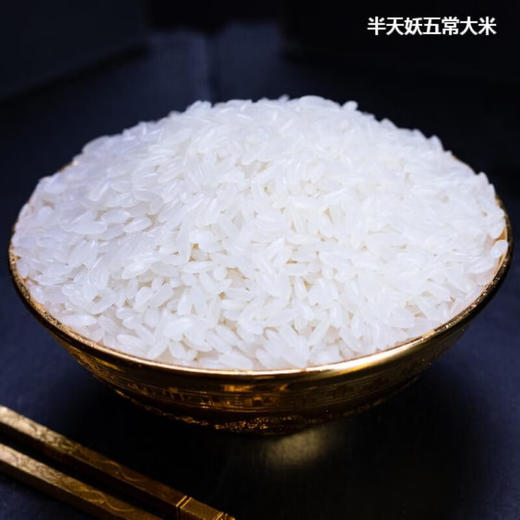 风光里绿色五常大米5kg 商品图3