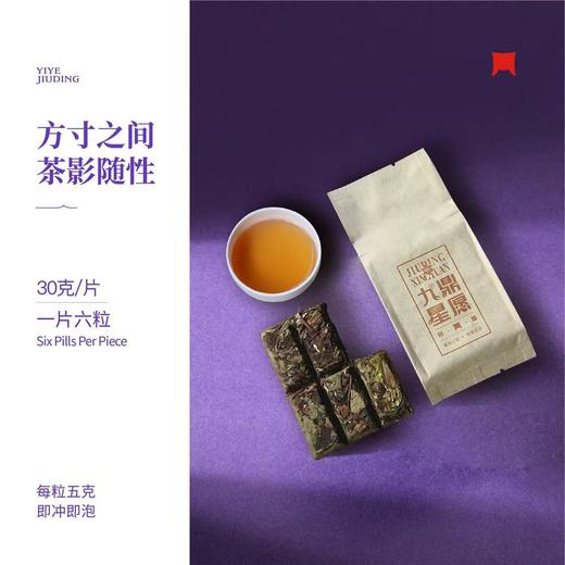 福鼎白茶 | 一叶九鼎2020年 九鼎星愿 便携装120g 商品图2
