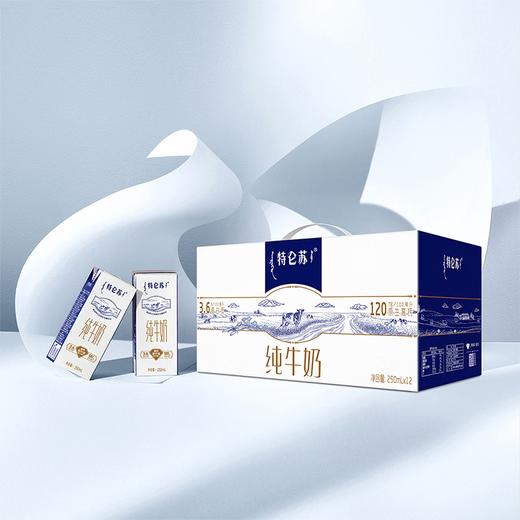 DH 特仑苏纯牛奶苗条装 250ml×12盒 商品图3