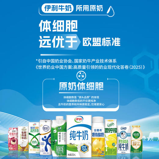 DH 伊利安慕希常温酸奶原味 205g*12 商品图1
