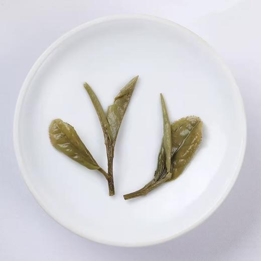 一级牡丹饼 | 一叶九鼎 2020年磻溪白茶丰收纪念茶300g/饼 商品图3