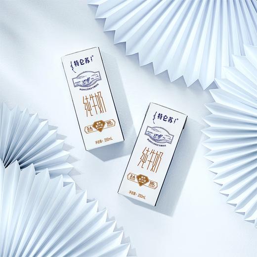 DH 特仑苏纯牛奶苗条装 250ml×12盒 商品图2