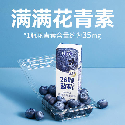 源制所花青素0蔗糖100%NFC混合蓝莓汁200ml*12瓶装 商品图1