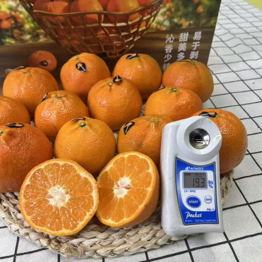 克莱蒙南非软皮蜜桔礼盒（12个装） 商品图3