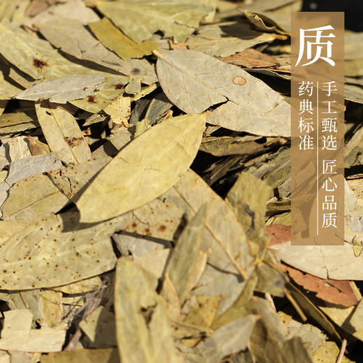 番泻叶 康美中药饮片 独立小包装 商品图2