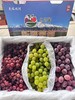 （金新农）新疆克伦生双色/三色葡萄组合带箱5斤/带箱10斤装 商品缩略图4