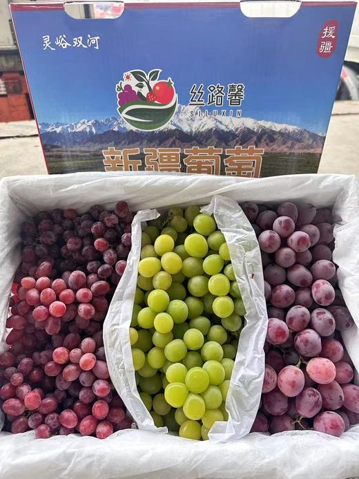 （金新农）新疆克伦生双色/三色葡萄组合带箱5斤/带箱10斤装 商品图4