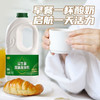 DH 君乐宝益生菌酸奶大桶装低温酸奶活性风味发酵乳原味大瓶益生菌桶 1080g 商品缩略图0
