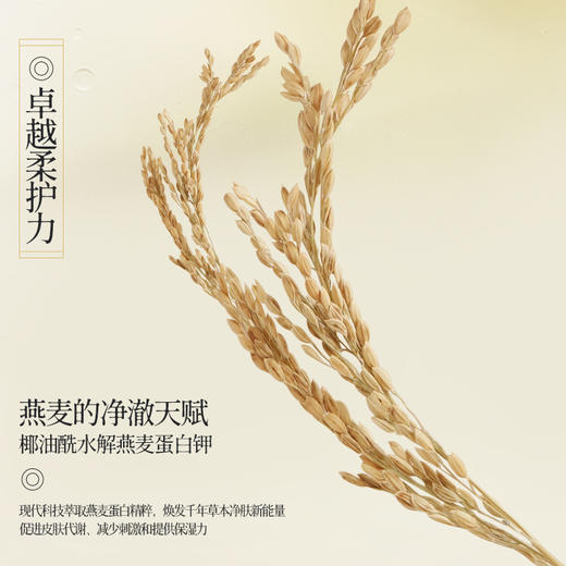 国韵温和净澈洁颜蜜120ml，温和净澈，洗卸合一，买即赠同款洁颜蜜15ml*1 商品图2