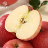 16.5度安心甜洛川苹果 商品缩略图2