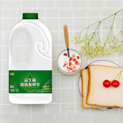 DH 君乐宝益生菌酸奶大桶装低温酸奶活性风味发酵乳原味大瓶益生菌桶 1080g 商品图1