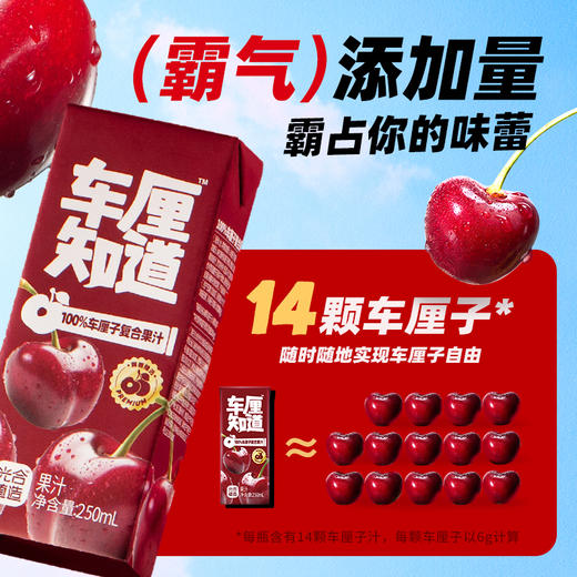 椰子知道100%复合车厘子果汁250ml*10 商品图3