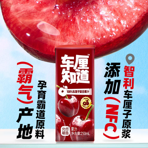 椰子知道100%复合车厘子果汁250ml*10 商品图4