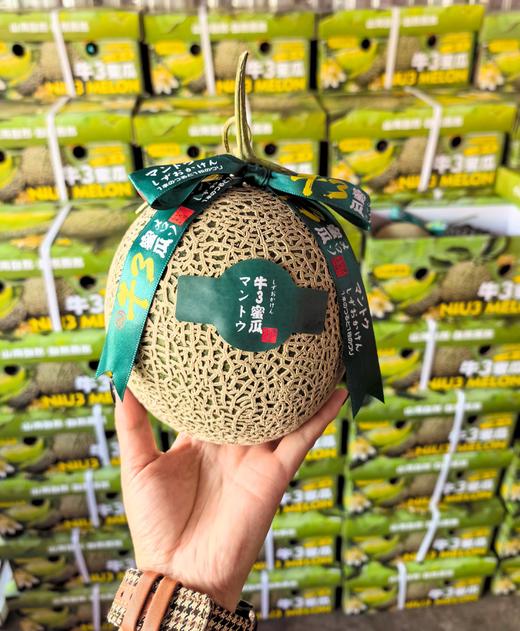 牛3玫珑蜜瓜 软甜多汁 哈密瓜界扛把子 商品图14