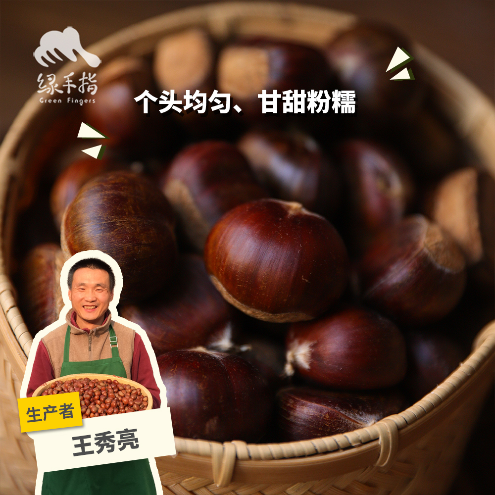 生态鲜板栗 | 合作生产*Fresh Eco-Fresh chestnut | Coprodution