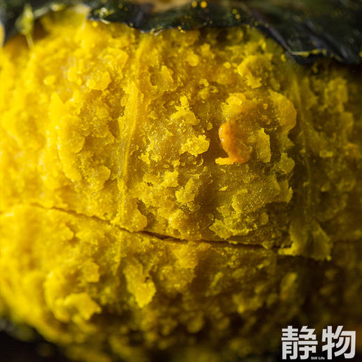 生态贝贝南瓜｜山东潍坊 商品图4