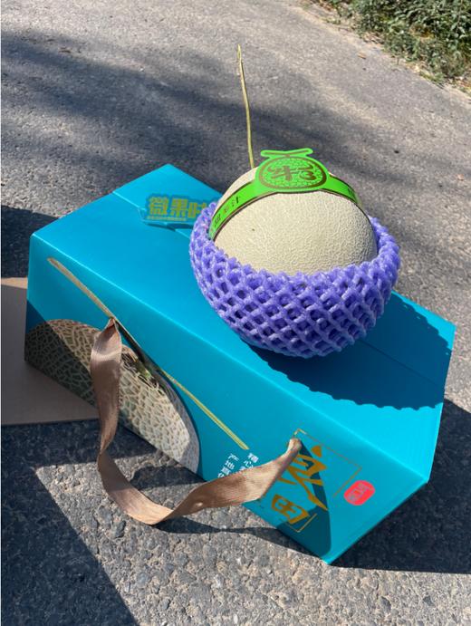 2粒良田网纹瓜一箱 商品图2