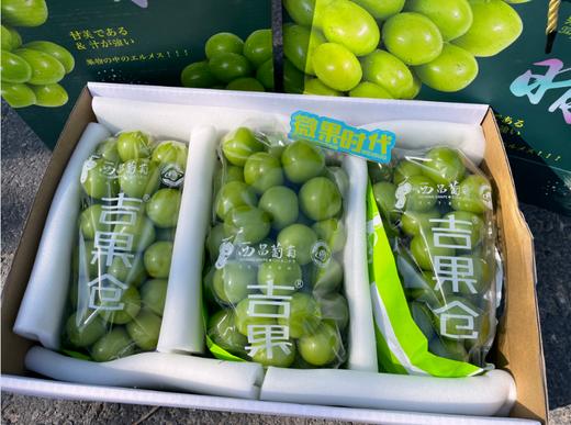 精品晴王葡萄礼盒 商品图3