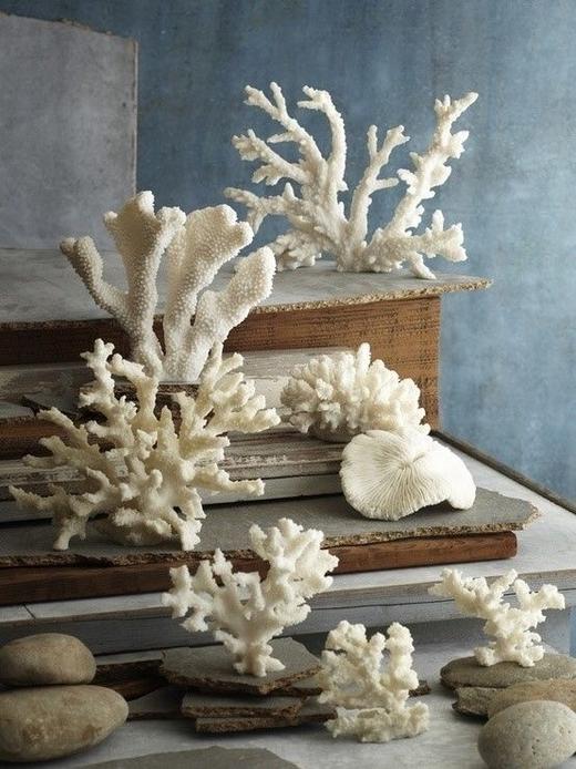 SpoiledBrat Jewelry珊瑚系列 | 珍珠项链 商品图5