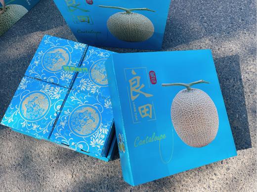 4粒良田网纹瓜一箱 商品图0