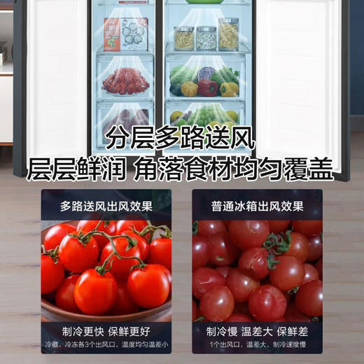 海尔冰箱对开门冰箱BCD-616WGHSSEDC9柔性双变频 分层多路送风 风冷无霜 大冷冻力 商品图2