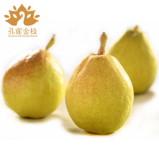 新疆 孔雀金枝 树上熟库尔勒香梨 核心产区 当季采摘 脆甜多汁 商品图1