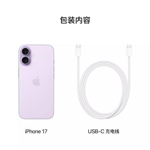 iPhone 17【到店自提时需激活设备】 商品图7