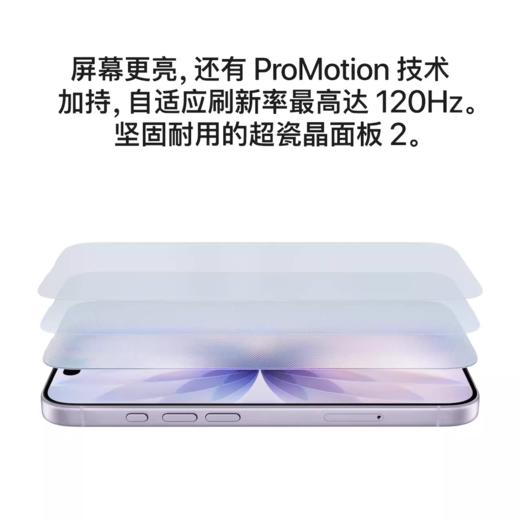 iPhone 17【到店自提时需激活设备】 商品图4