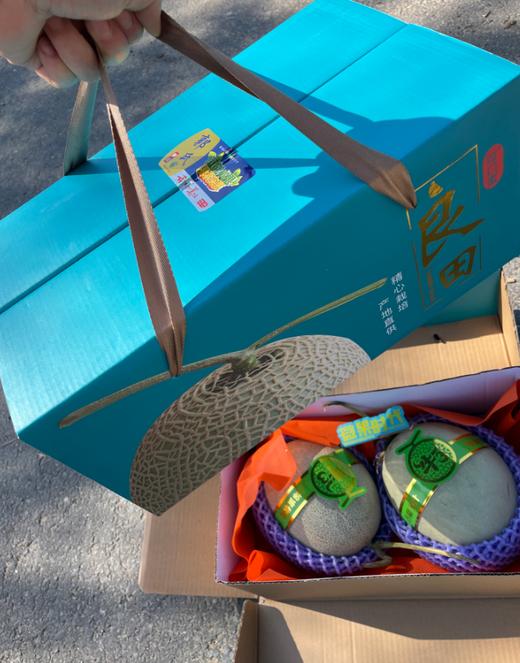 2粒良田网纹瓜一箱 商品图1