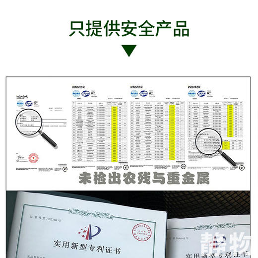 生态贝贝南瓜｜山东潍坊 商品图7