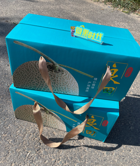 2粒良田网纹瓜一箱