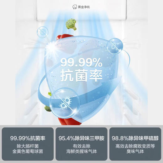 海尔冰箱对开门冰箱BCD-616WGHSSEDC9柔性双变频 分层多路送风 风冷无霜 大冷冻力 商品图3