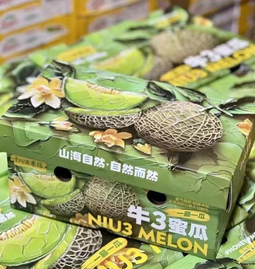 牛3玫珑蜜瓜 软甜多汁 哈密瓜界扛把子 商品图4