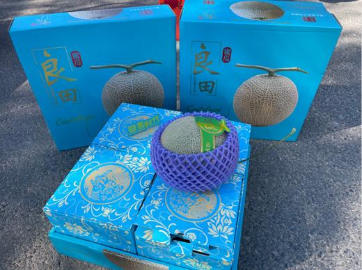 4粒良田网纹瓜一箱 商品图2