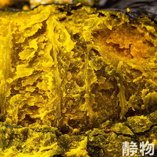 生态贝贝南瓜｜山东潍坊 商品图9