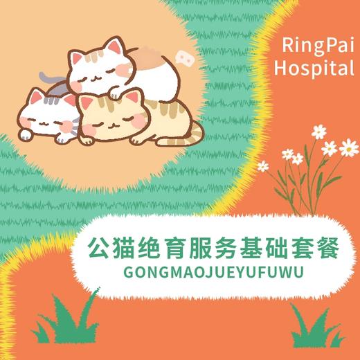 万象丨公猫绝育服务基础套餐 商品图0