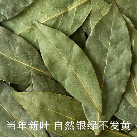 南食召 本香香叶 商品图3