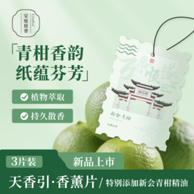 宋雅辰香车载香片香薰车内挂件持久淡香清新3片装