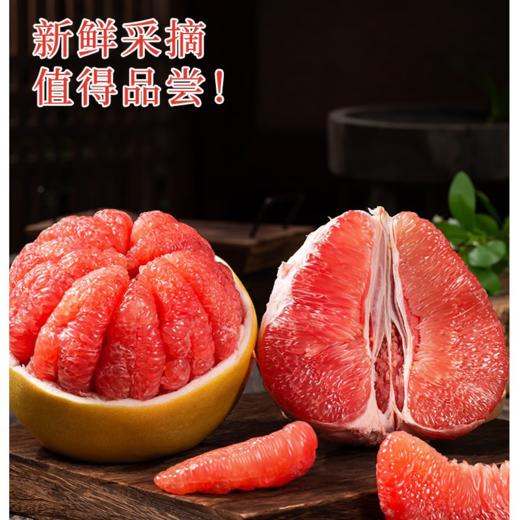 【快递】福建平和琯溪 三红蜜柚 5斤礼盒装 商品图4