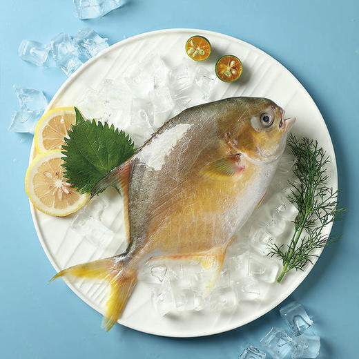 中粮凌鲜金鲳鱼400g 商品图1