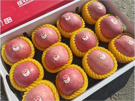 佳农苹果一箱 商品图1