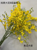 文心兰（纯黄跳舞兰）10枝/扎  多规格 商品缩略图12