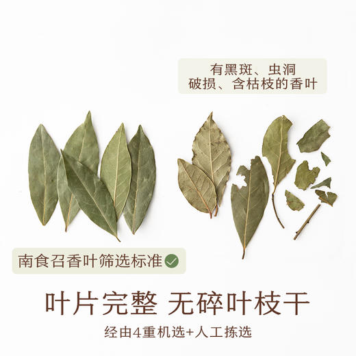 南食召 本香香叶 商品图2