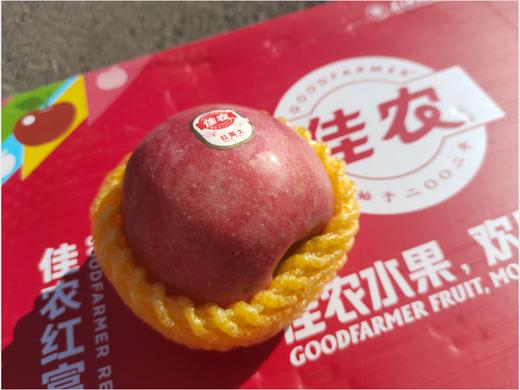佳农苹果一箱 商品图2