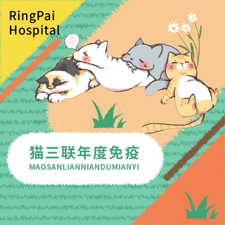 万象丨猫三联年度免疫服务1针