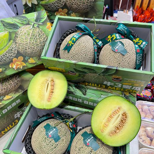 牛3玫珑蜜瓜 软甜多汁 哈密瓜界扛把子 商品图2