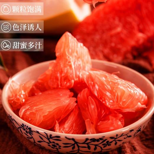 【快递】福建平和琯溪 三红蜜柚 5斤礼盒装 商品图1