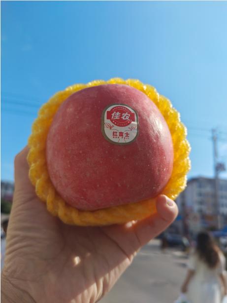佳农苹果一箱 商品图3